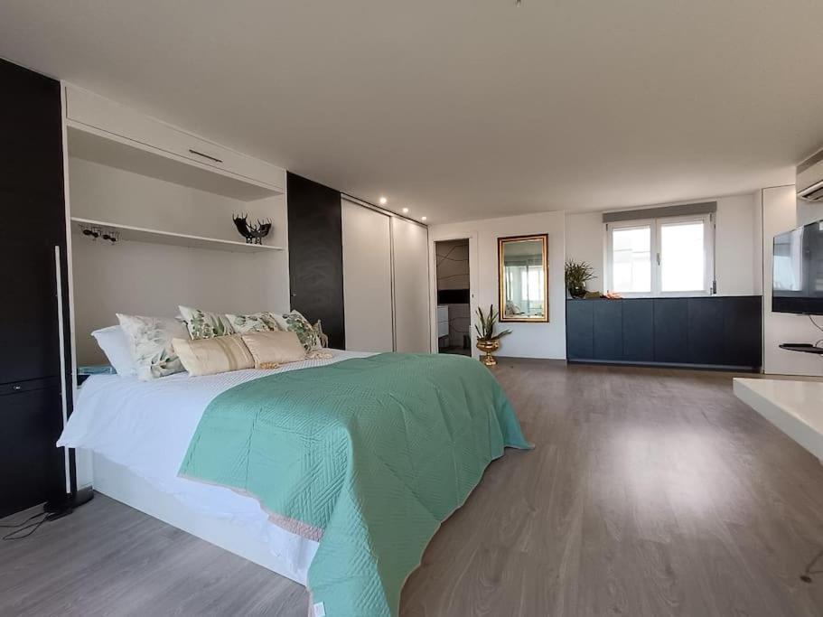 Spacious Studio By The University San Vicente Raspeig Extérieur photo